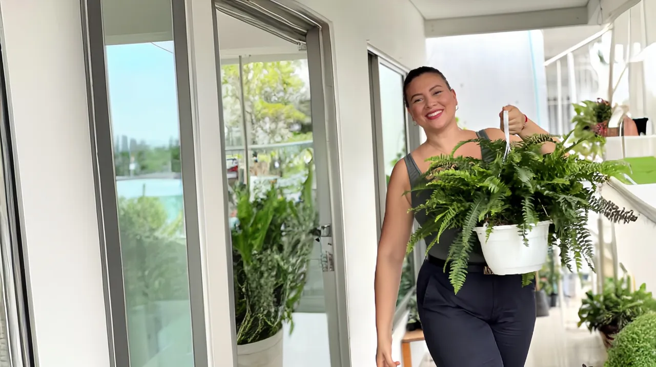 Aliki Plantas