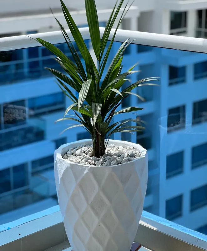 Timba Grande ancha 62cm de alto x 40cm de ancho