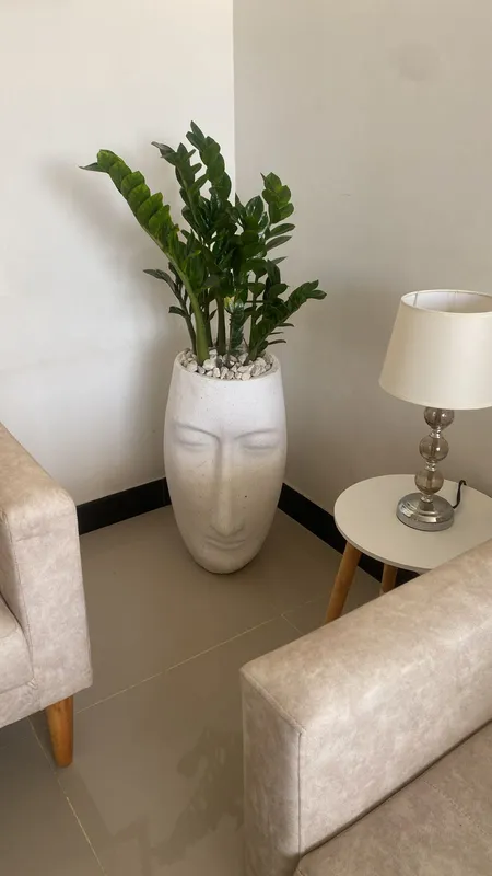 Matera tipo cara 50cm de alto x 29cm de ancho