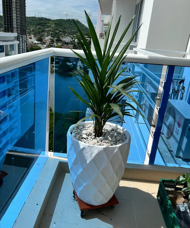 Timba Grande ancha 62cm de alto x 40cm de ancho - Imagen 2