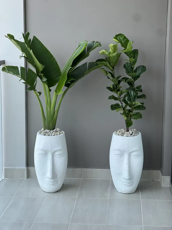 Matera tipo cara 50cm de alto x 29cm de ancho - Imagen 2