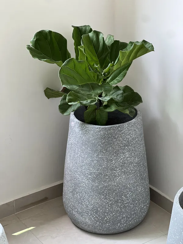 Gota Grande ANCHA 58cm de alto x 40cm de ancho - Imagen 3