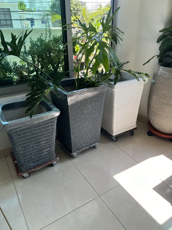 Cubo Grande 50cm de Alto x 35cm de ancho - Imagen 3