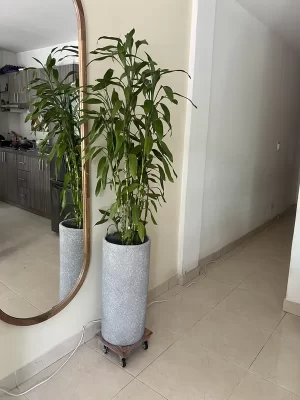 Cilindro Extragrande delgado 60cm alto x 29cm de ancho