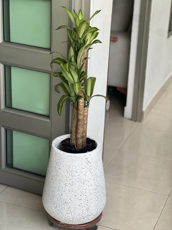 Gota Mediana 40cm de alto x 28cm de ancho - Imagen 3