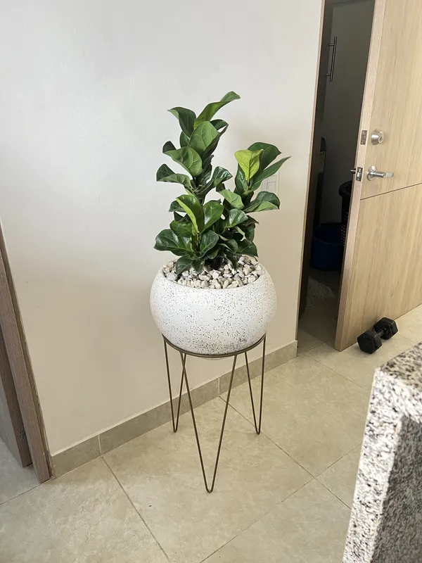 Redonda grande Lisa 29cm de alto x 39cm de ancho (para soporte) - Imagen 4