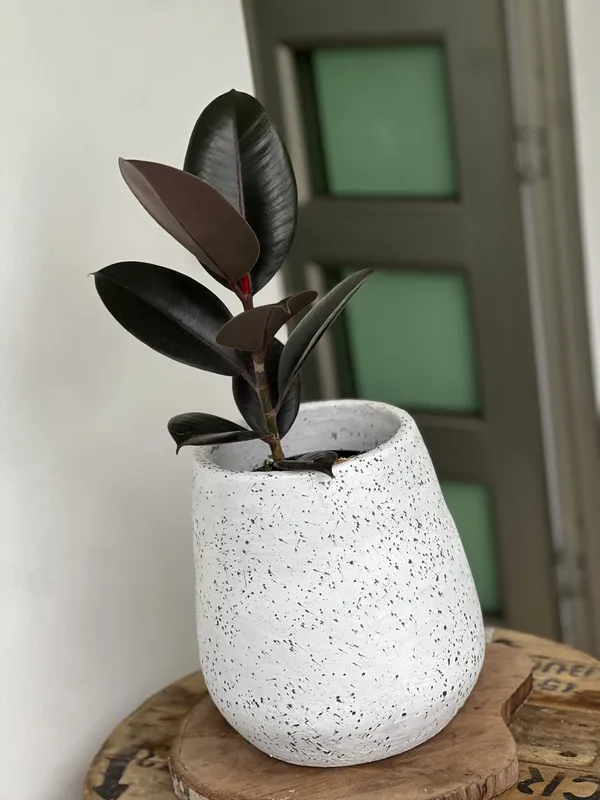 Gota Pequeña 27cm de alto x 20cm de ancho - Imagen 3