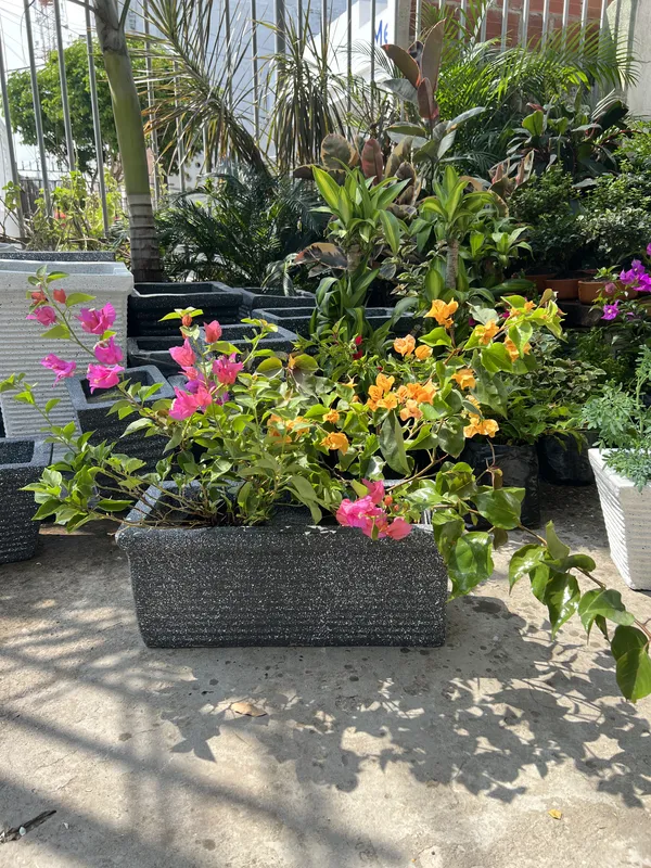 Jardinera Semi Peq. 63cm de largo x 22cm de alto x 29cm de ancho