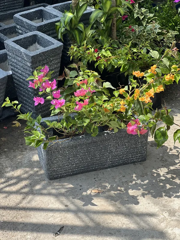 Jardinera Semi Peq. 63cm de largo x 22cm de alto x 29cm de ancho - Imagen 3