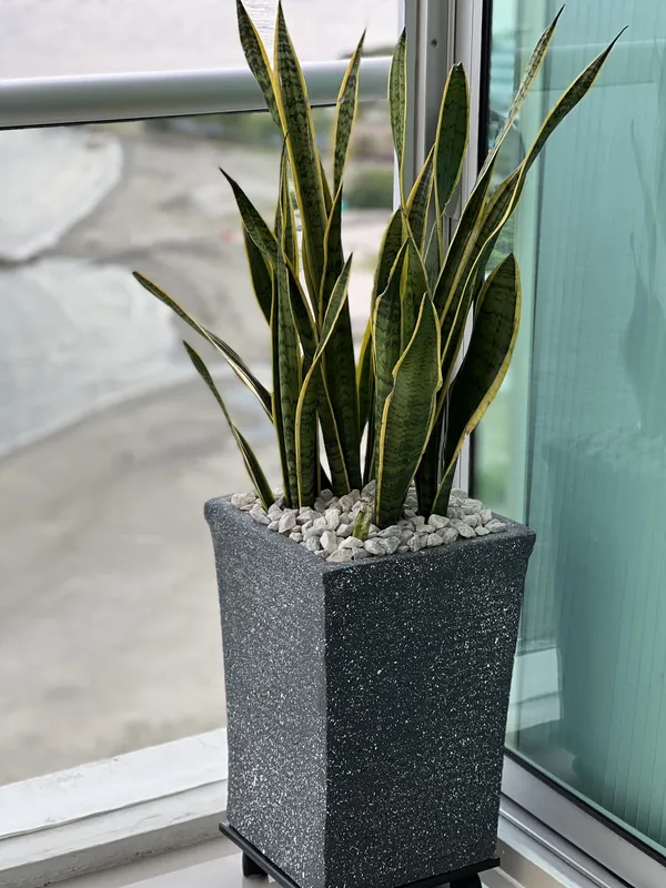 Cubo Grande 50cm de Alto x 35cm de ancho