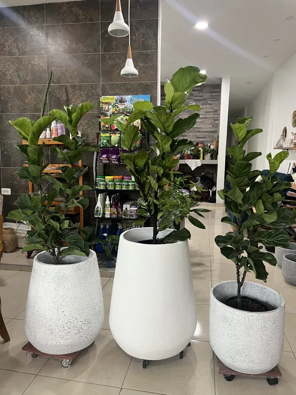 Gota Grande ANCHA 58cm de alto x 40cm de ancho - Imagen 6