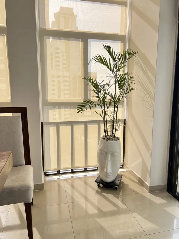 Matera tipo cara 50cm de alto x 29cm de ancho - Imagen 5