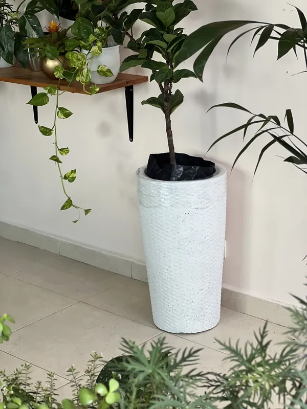 Matera canasto 58cm de alto x 30cm de ancho - Imagen 5