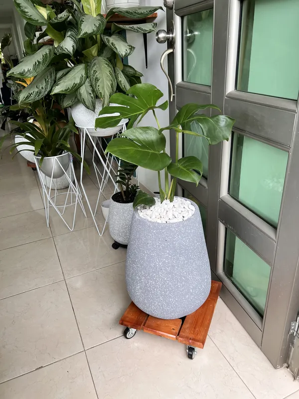 Gota Baja ANCHA 36cm de alto x 32cm de ancho - Imagen 3