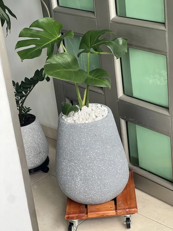 Gota Baja ANCHA 36cm de alto x 32cm de ancho - Imagen 4