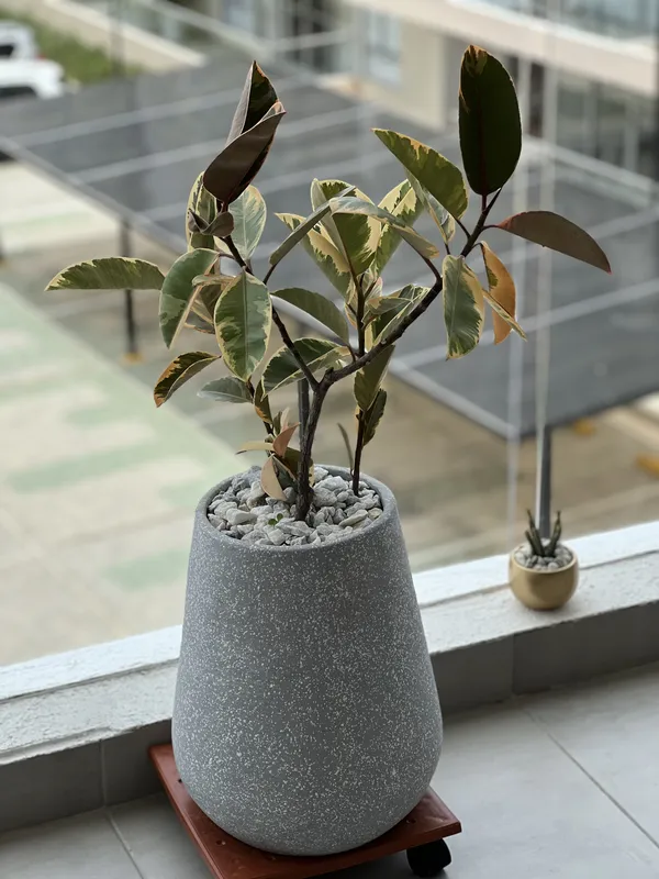 Gota Mediana 40cm de alto x 28cm de ancho - Imagen 4